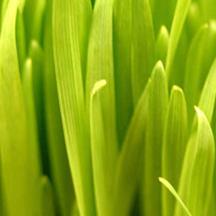 cc攻击免费网页版