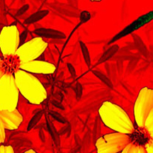 让生活更美好的怎么简单攻击一个网站